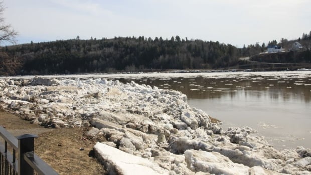 Cold snap causing ice jams on Tay River, authority warns