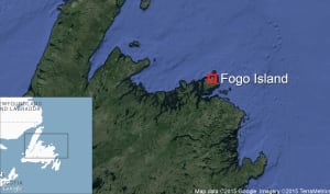 Map of Fogo Island Newfoundland