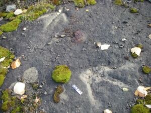 Dinosaur Path 20150426