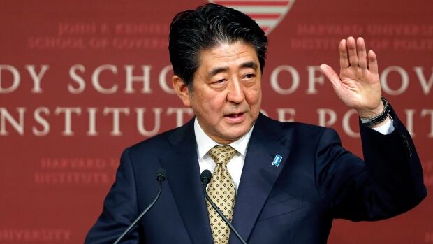Fitch downgrades Japan's debt after sales tax hike nixed | CBC News