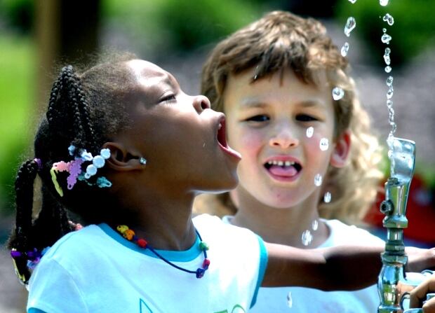 Fluoride Levels