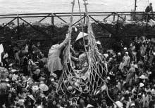 Vietnam War Fall Of Saigon Photo Gallery