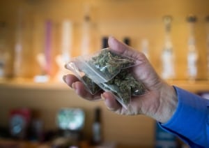 Marijuana Zoning 20150503