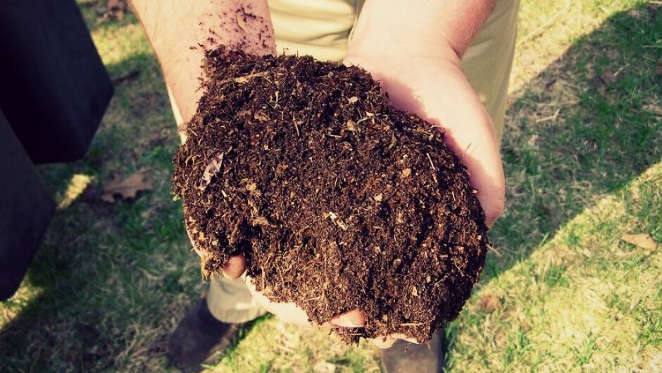 Urban Death Project wants to see people return to the earth after death... quite literally... via compost.