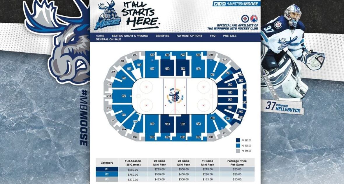 True North brings Manitoba Moose back to Winnipeg CBC News