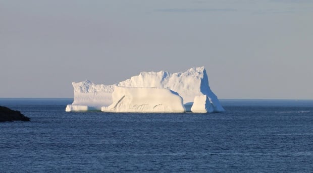 Iceberg in Torbay Monday evening Alana R Barnes