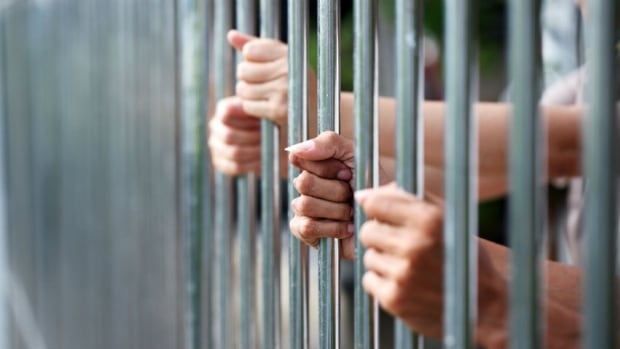 Jail bars