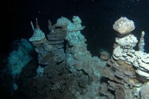 Hydrothermal vent