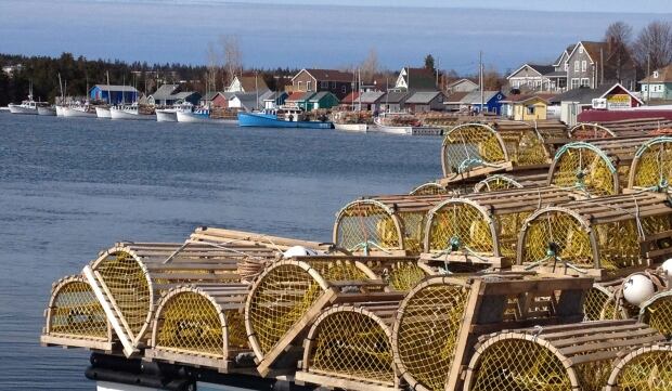 Traps on boat