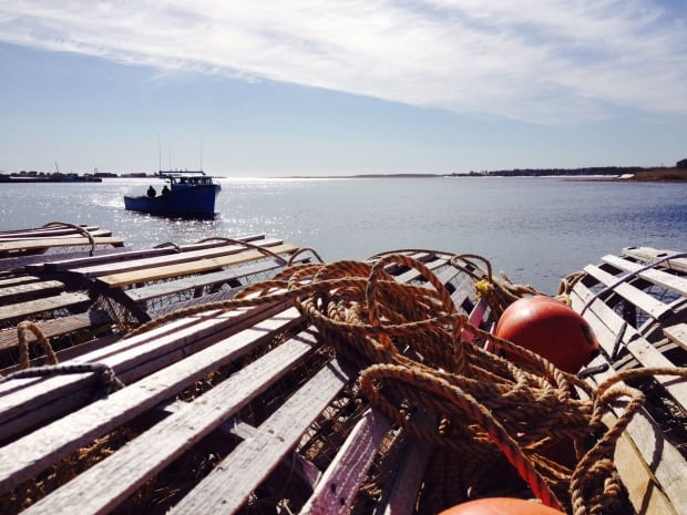 Lobster season setting day