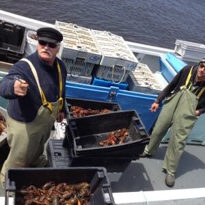 Covehead Wharf lobster