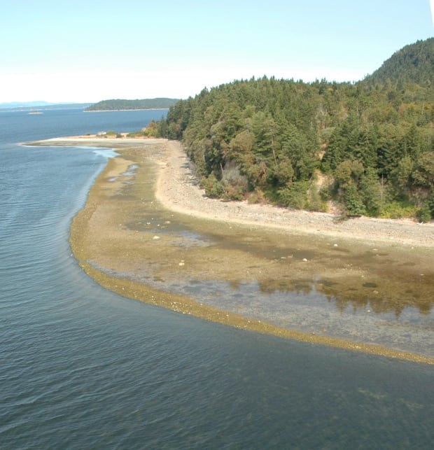 Clam Gardens 20150503