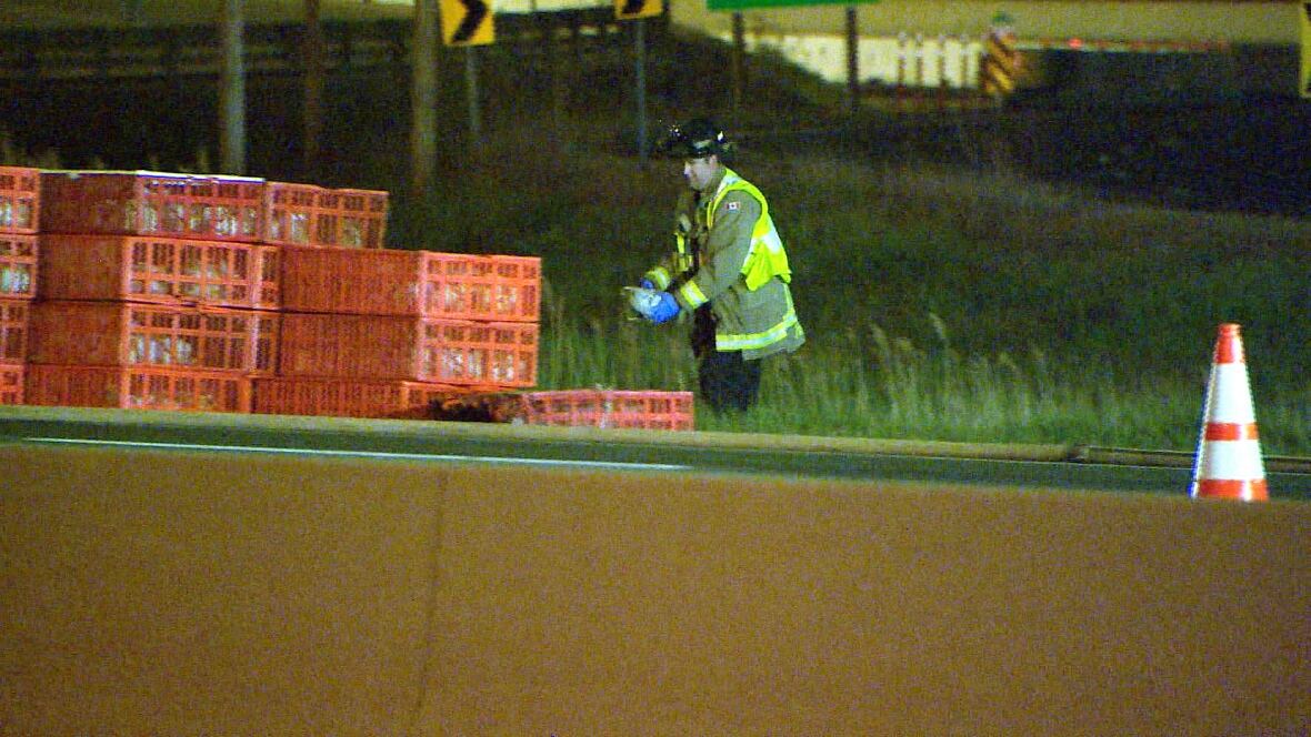 Chickens escape amid Hwy. 401 truck fire CBC News