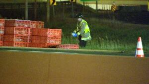 Mississauga chicken fire