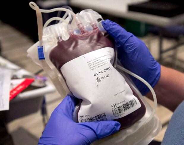 Blood donor