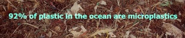 Marine litter. On its way to becoming microplastics.