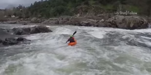 Lily on rapids