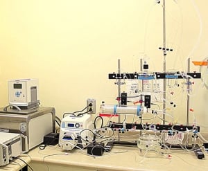 Adapted Langerdorf Apparatus