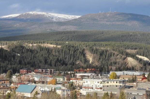 haeckel hill whitehorse