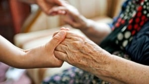 hands