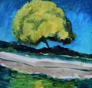 Tiko 7