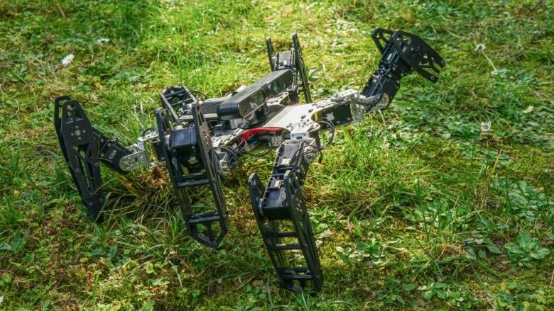 Robots that can adapt like animals