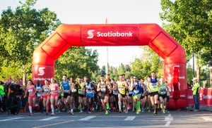 Calgary marathon start line