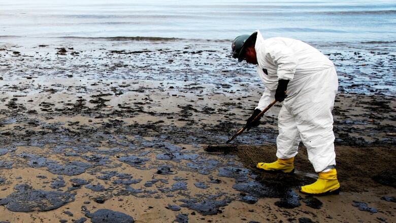 oil spills on land effects