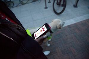 Responsive Street Furniture
