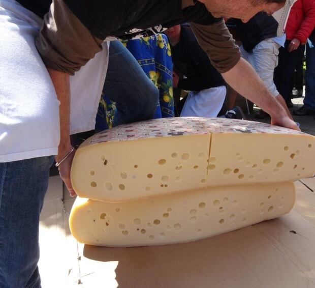 Ever wondered why Swiss cheese has holes? Canada CBC News