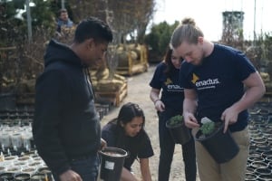 Enactus Ryerson visits Ontario greenhouse