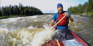 Wolf navigates rapids