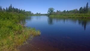 Napadogan River