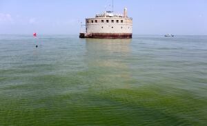 Lake Erie Algae