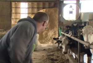 Dairy farmer