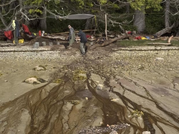 Dig site Calvert Island