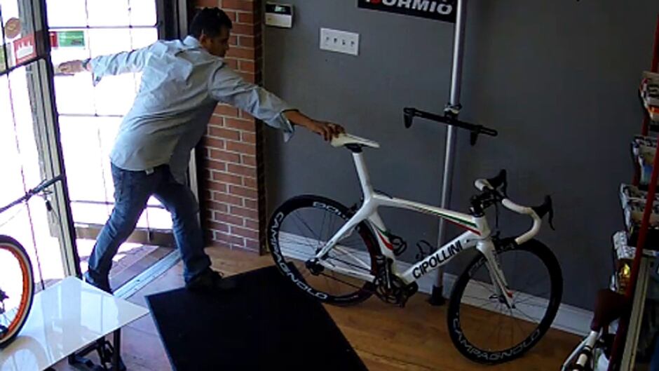 evolution cycles