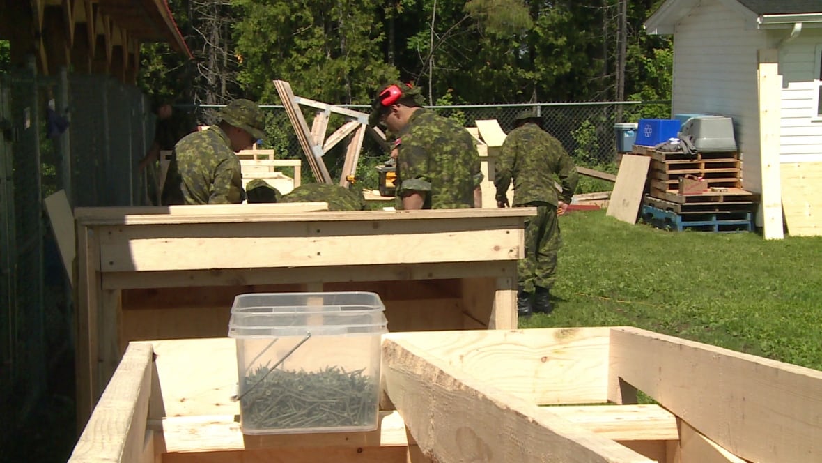 Base Gagetown soldiers build dog houses for Oromocto SPCA CBC News