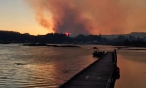 Port Hardy wildfire