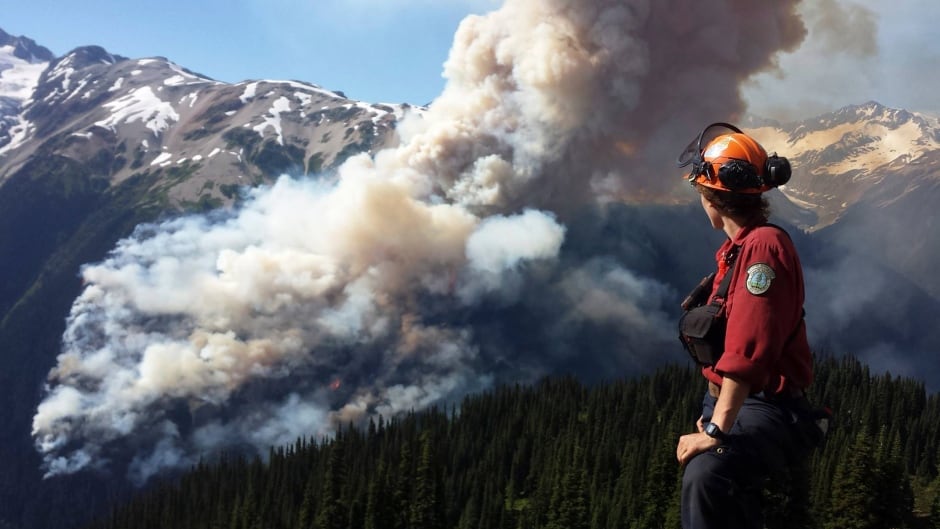 A Coastal Fire Centre crew leader views the Boulder Creek fire, July 3, 2015. (REUTERS/BC Wildfire Service)