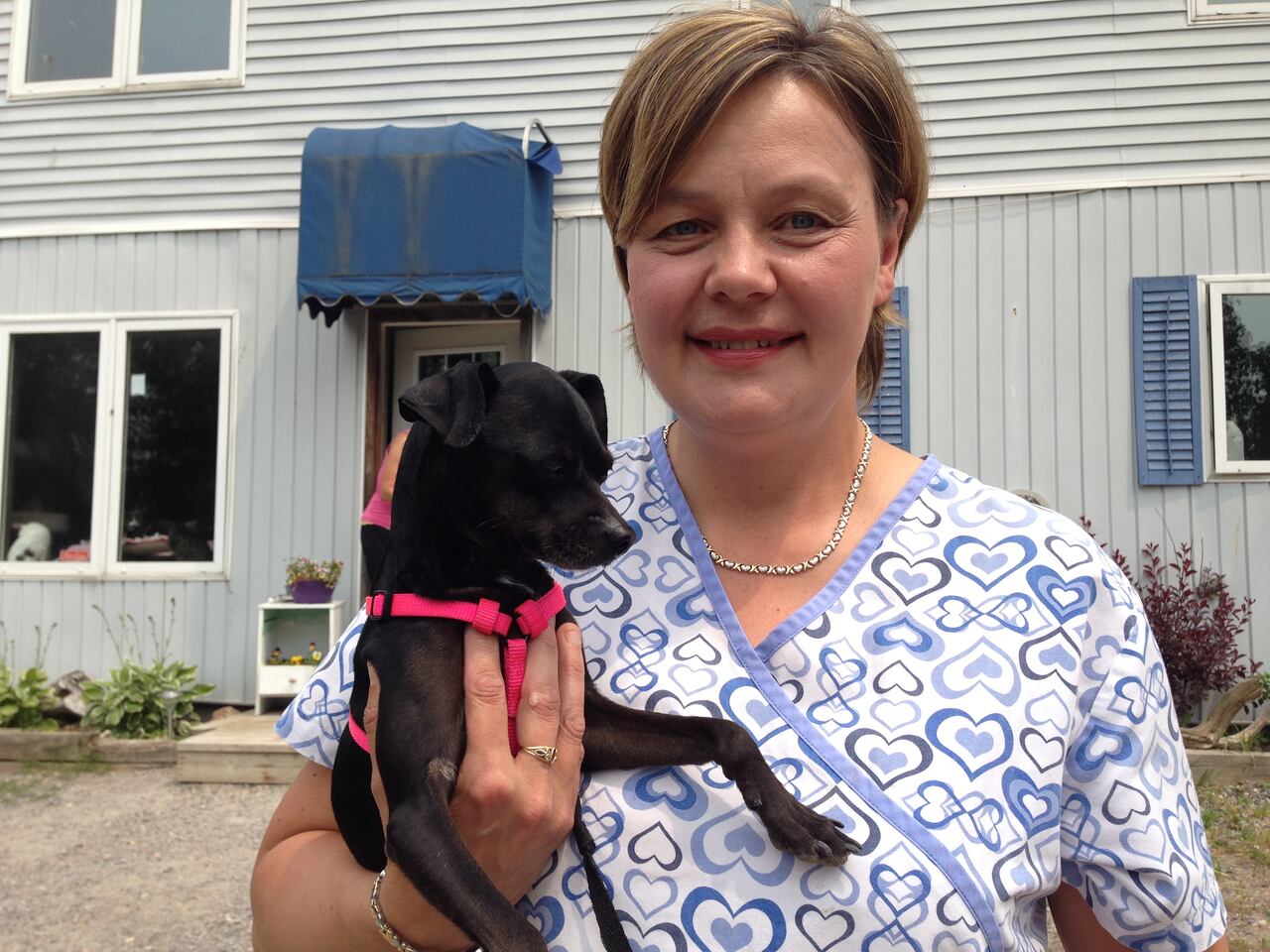 How Many Dogs Can You Own In Sudbury Ontario