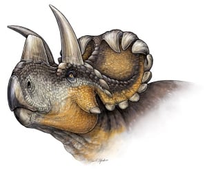 Wendiceratops pinhornensis
