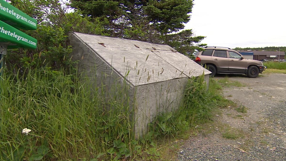 Deanna King says she's getting evicted for kicking up stink about rats