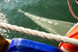 MICROPLASTICS JULY 15 2015 net in water