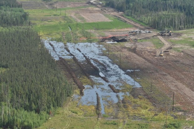 Nexen Alberta pipeline break