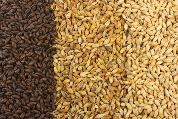 malt stages