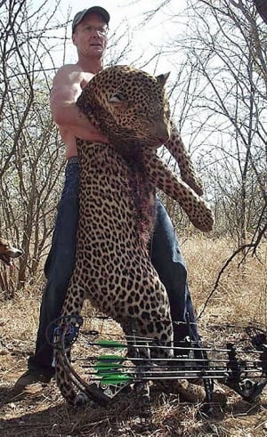 Walter Palmer-leopard