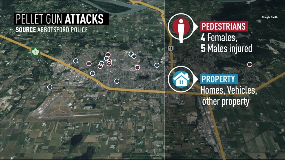 24 pellet gun attacks in Abbotsford end in man's arrest CBC News