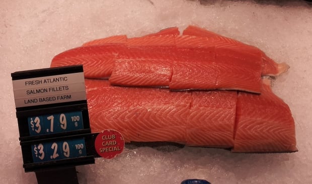 Salmon