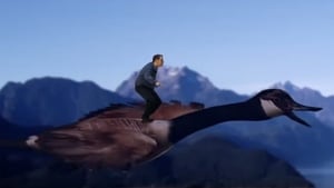 Wyatt Scott goose riding